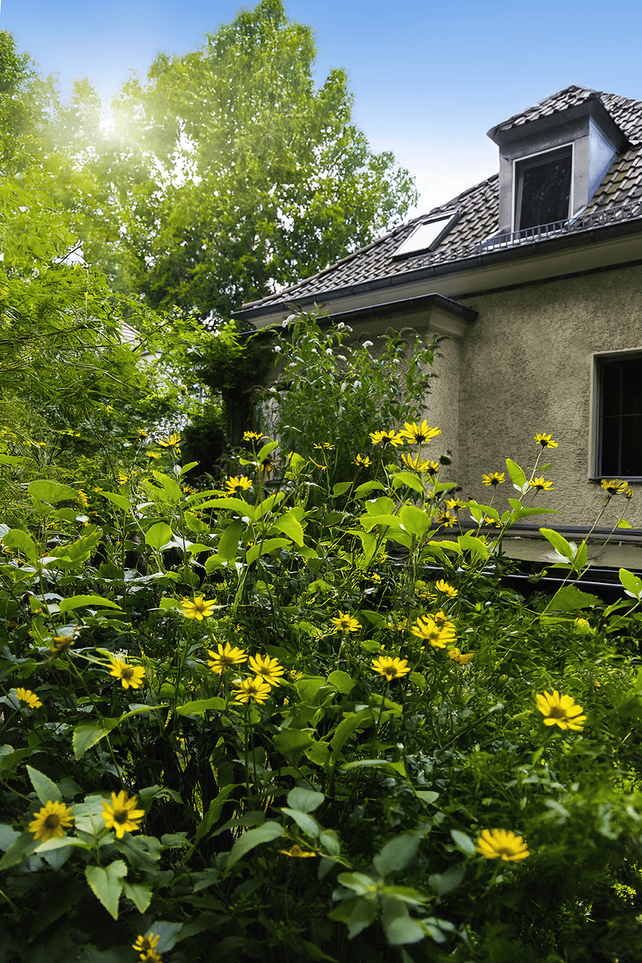 Altbau Einfamilienhaus aus der Gartenansicht